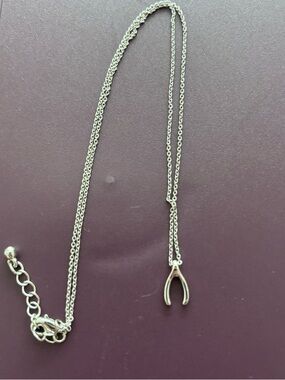 Silver Wishbone Pendant Necklace